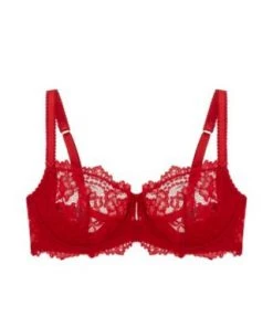 Dita Von Teese Cora Lace Underwire Bra Bras 3 Dita Von Teese Cora Lace Underwire Bra Bras