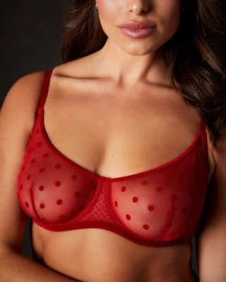 Journelle Valentina Demi Bra DD+ 3 Journelle Valentina Demi Bra DD+