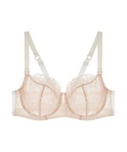TeAmore Spotlight Embroidered Balcony Bra Bras