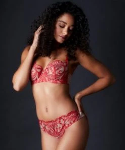 TeAmore Spotlight Embroidered Brief TeAmore