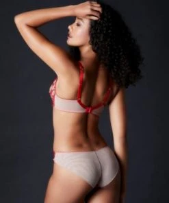 TeAmore Spotlight Embroidered Brief TeAmore