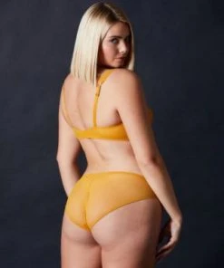 Chantal Thomass Sale Encens Moi Dentelle Brief