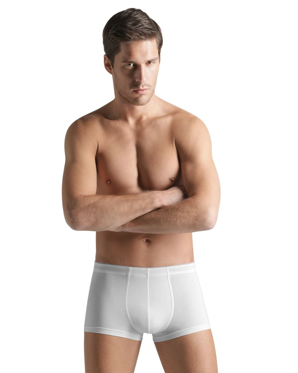 Hanro Cotton Superior Boxer Brief Underwear 2 Hanro Cotton Superior Boxer Brief Underwear