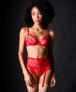 Dita Von Teese Suspender Belts Muse Suspender Belt 2 Dita Von Teese Suspender Belts Muse Suspender Belt