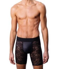 Menagerie Core Lace Midway Brief Underwear