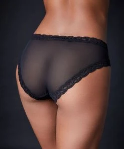 Natori Boyshort Feathers Hipster